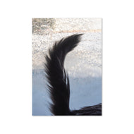 Greeting card - Seasons