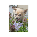 Greeting card - Seasons