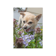 Greeting card - Seasons