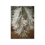 Greeting card - Seasons