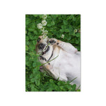 Greeting card - Seasons