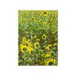 Greeting card - Seasons