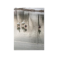 Greeting card - Seasons