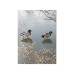 Greeting card - Seasons