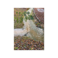 Greeting card - Seasons