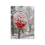 Greeting card - Seasons