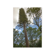 Greeting card - Seasons