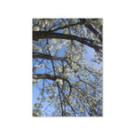 Greeting card - Seasons