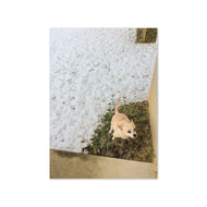 Greeting card - Seasons