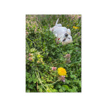 Greeting card - Seasons