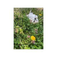 Greeting card - Seasons