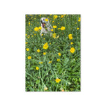 Greeting card - Seasons