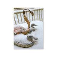 Greeting card - Seasons