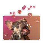 Kiss-Cut Stickers • Frenchie Bubbles!