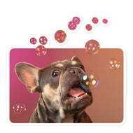 Kiss-Cut Stickers • Frenchie Bubbles!