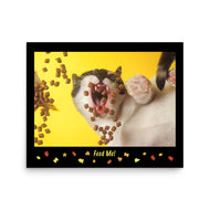 Photo paper poster • Feed Me! • 16x20