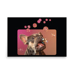 Photo paper poster • Frenchie Bubbles!