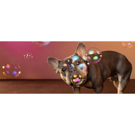 White glossy mug • Frenchie Bubbles • Panorama