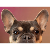 White glossy mug • Frenchie • Portrait • Panorama