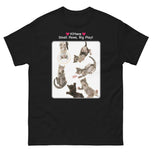 Kittens - Small Paws, Big Play! • Unisex classic tee