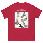 Kittens - Small Paws, Big Play! • Unisex classic tee