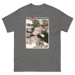 Kittens - Paws Everywhere! • Unisex classic tee