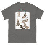 Kittens - Small Paws, Big Play! • Unisex classic tee