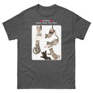 Kittens - Small Paws, Big Play! • Unisex classic tee