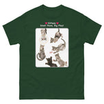 Kittens - Small Paws, Big Play! • Unisex classic tee