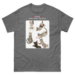 Kittens - Small Paws, Big Play! • Unisex classic tee