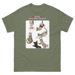 Kittens - Small Paws, Big Play! • Unisex classic tee
