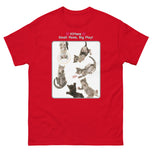 Kittens - Small Paws, Big Play! • Unisex classic tee