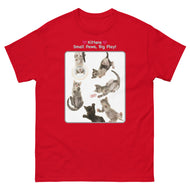 Kittens - Small Paws, Big Play! • Unisex classic tee
