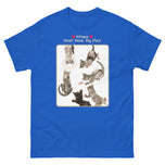 Kittens - Small Paws, Big Play! • Unisex classic tee