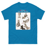 Kittens - Small Paws, Big Play! • Unisex classic tee