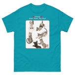 Kittens - Small Paws, Big Play! • Unisex classic tee
