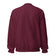 Unisex Sweatshirt • under Kittens • Lots of Paws!