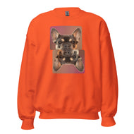 Unisex Sweatshirt • Double Henry