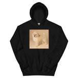 Unisex Hoodie • Dixie