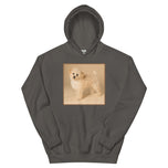 Unisex Hoodie • Dixie