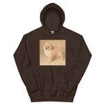 Unisex Hoodie • Dixie