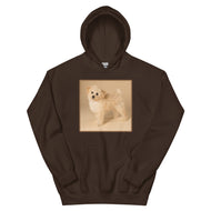 Unisex Hoodie • Dixie
