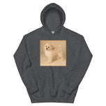 Unisex Hoodie • Dixie