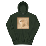 Unisex Hoodie • Dixie