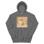 Unisex Hoodie • Dixie