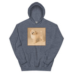 Unisex Hoodie • Dixie