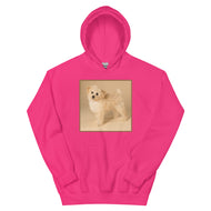 Unisex Hoodie • Dixie
