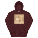 Unisex Hoodie • Dixie