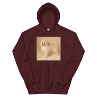 Unisex Hoodie • Dixie