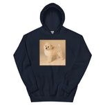 Unisex Hoodie • Dixie